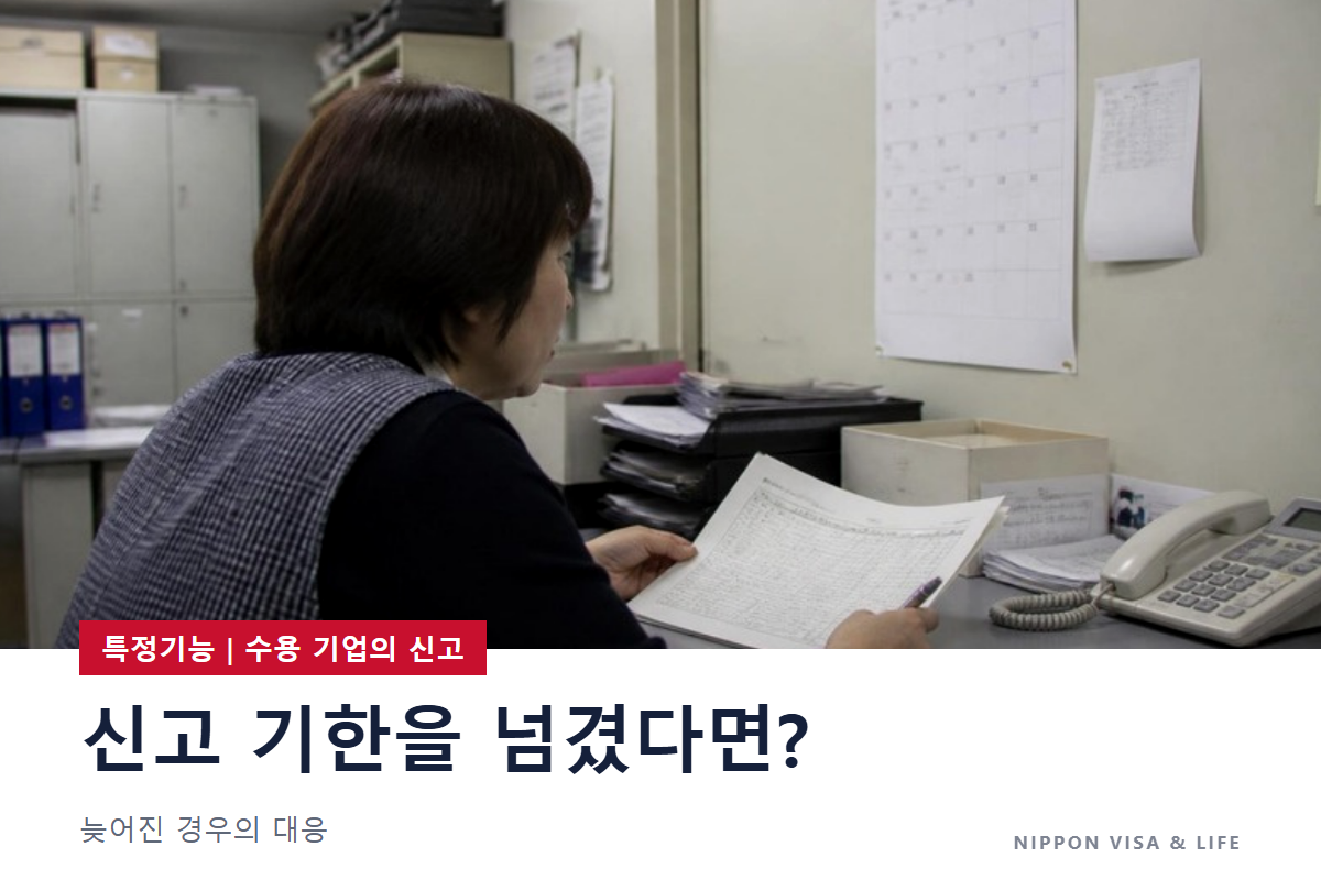 특정기능 신고가 기한을 넘겼다면? 정기 신고·수시 신고가 늦어진 경우의 대응