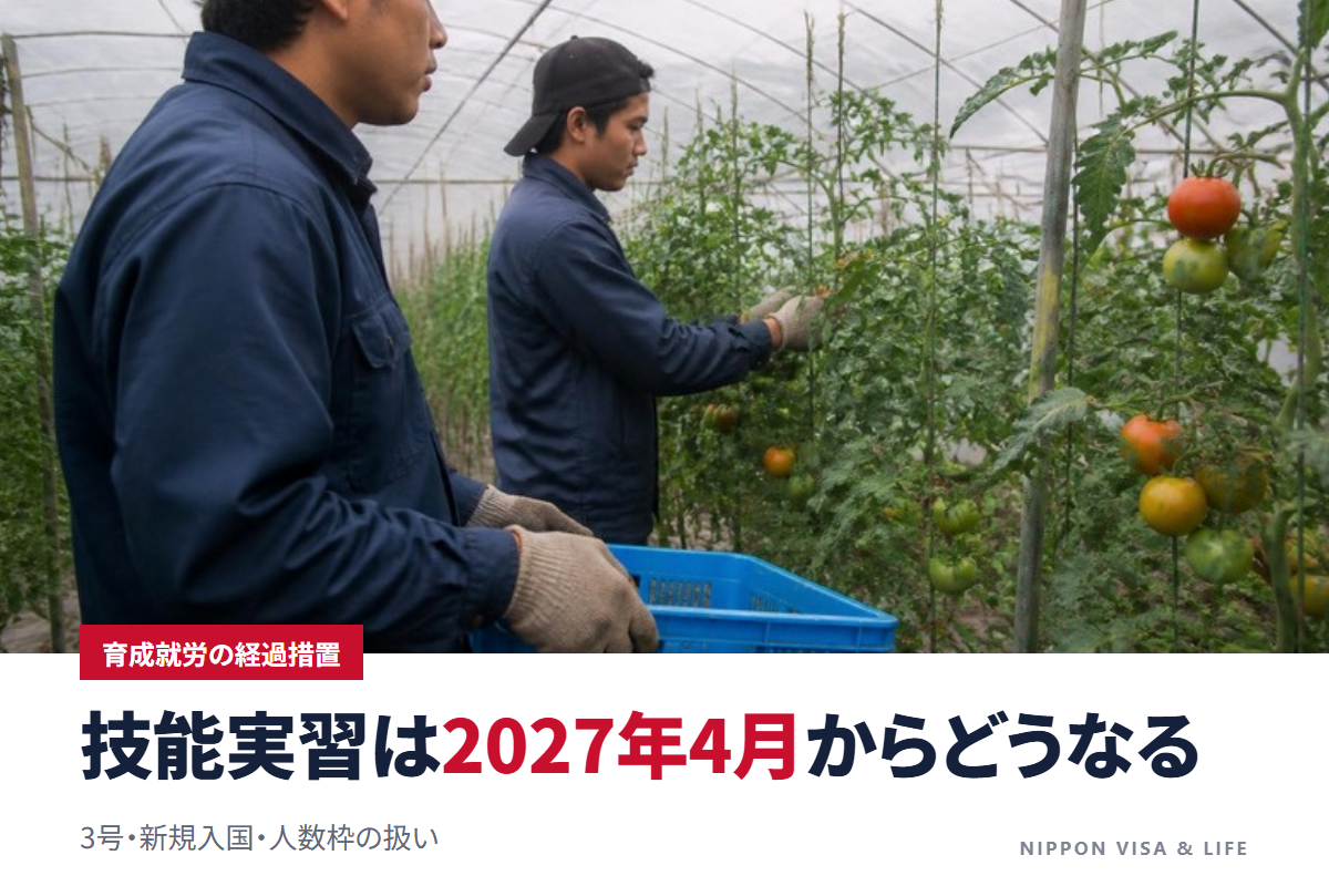 育成就労の経過措置|技能実習生は2027年4月以降どうなる?3号・新規入国・人数枠