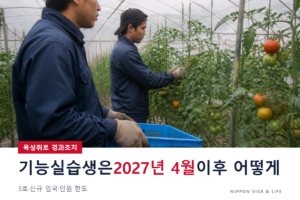 일본 육성취로의 경과조치｜기능실습생은 2027년 4월 이후 어떻게 되나? 3호·신규 입국·인원 한도