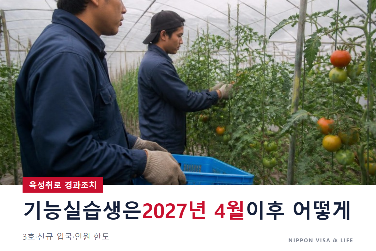 일본 육성취로의 경과조치|기능실습생은 2027년 4월 이후 어떻게 되나? 3호·신규 입국·인원 한도