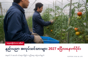 ဂျပန်ရှိ ကျွမ်းကျင်မှု ပြုစုပျိုးထောင်ရေး အလုပ်အကိုင်၏ အကူးအပြောင်းကာလ အစီအမံ｜နည်းပညာ အလုပ်သင်သားများ 2027 ခုနှစ် ဧပြီလနောက်ပိုင်း မည်သို့ ဖြစ်မည်နည်း? အမှတ် 3・အသစ် ဝင်ရောက်ခြင်း・လူဦးရေ ကန့်သတ်ချက်