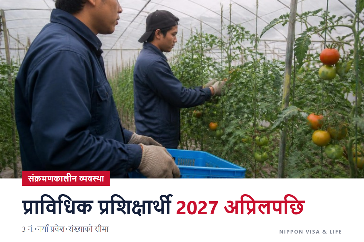 जापानमा सीप विकास रोजगारको संक्रमणकालीन व्यवस्था|2027 अप्रिलपछि प्राविधिक प्रशिक्षार्थीको के हुन्छ? 3 नं.・नयाँ प्रवेश・संख्याको सीमा