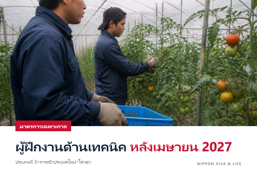มาตรการเฉพาะกาลของการพัฒนาและการจ้างงาน (育成就労) ในญี่ปุ่น｜ผู้ฝึกงานด้านเทคนิคจะเป็นอย่างไรหลังเมษายน 2027? ประเภทที่ 3・การเข้าประเทศใหม่・โควตาจำนวนการรับ