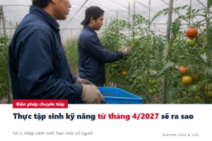 Biện pháp chuyển tiếp của Đào tạo việc làm tại Nhật Bản｜Thực tập sinh kỹ năng sẽ ra sao từ tháng 4/2027? Số 3, nhập cảnh mới, hạn mức số người