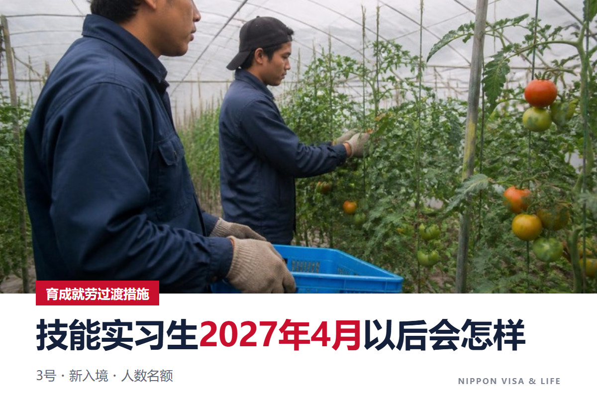日本育成就劳的过渡措施｜2027年4月以后技能实习生会怎样？3号・新入境・人数名额