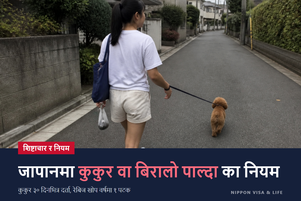 जापानमा कुकुर वा बिरालो पाल्दाका नियम | कुकुरको दर्ता・रेबिजविरुद्धको खोप・माइक्रोचिप・अपार्टमेन्ट र हिँडाउँदाको शिष्टाचार