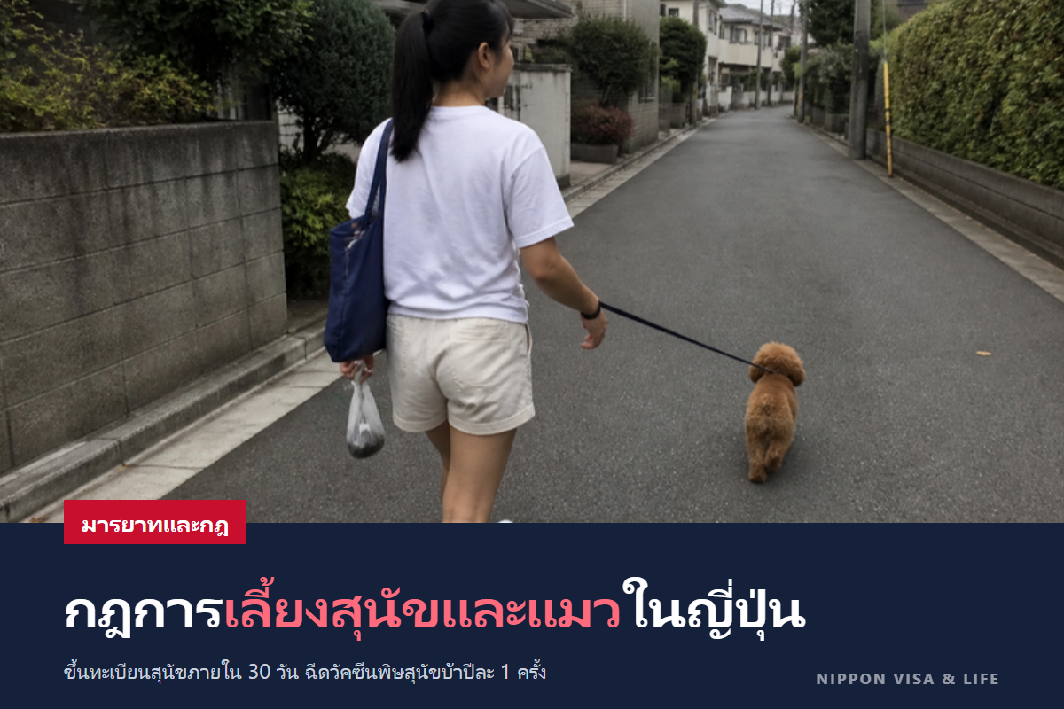 กฎเมื่อเลี้ยงสุนัขหรือแมวในญี่ปุ่น|การขึ้นทะเบียนสุนัข วัคซีนป้องกันโรคพิษสุนัขบ้า ไมโครชิป มารยาทในที่พักอาศัยรวมและการพาเดินเล่น