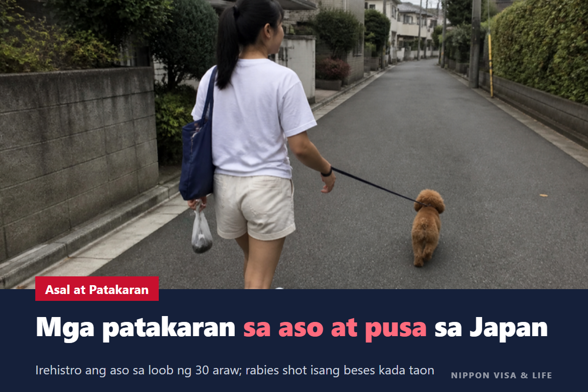 Mga Patakaran sa Pag-aalaga ng Aso o Pusa sa Japan｜Pagpaparehistro ng Aso, Bakuna Laban sa Rabies, Microchip, at Asal sa Apartment at sa Paglalakad